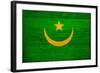 Mauritania Flag Design with Wood Patterning - Flags of the World Series-Philippe Hugonnard-Framed Art Print