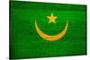 Mauritania Flag Design with Wood Patterning - Flags of the World Series-Philippe Hugonnard-Stretched Canvas