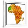 Mauritania on Actual Map of Africa-michal812-Framed Art Print