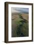 Mauritia Palm, Savanna Rupununi, Guyana. Used for Thatching-Pete Oxford-Framed Photographic Print