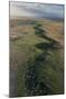 Mauritia Palm, Savanna Rupununi, Guyana. Used for Thatching-Pete Oxford-Mounted Photographic Print