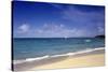 Mauritius Beach-Charles Bowman-Stretched Canvas