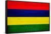 Mauritius Flag Design with Wood Patterning - Flags of the World Series-Philippe Hugonnard-Framed Stretched Canvas