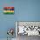 Mauritius Flag-daboost-Art Print displayed on a wall
