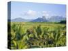 Mauritius, Scenic in the North West Region of the Island-Fraser Hall-Stretched Canvas