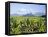 Mauritius, Scenic in the North West Region of the Island-Fraser Hall-Framed Stretched Canvas