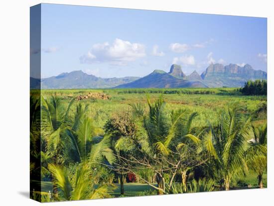 Mauritius, Scenic in the North West Region of the Island-Fraser Hall-Stretched Canvas