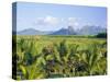 Mauritius, Scenic in the North West Region of the Island-Fraser Hall-Stretched Canvas