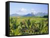 Mauritius, Scenic in the North West Region of the Island-Fraser Hall-Framed Stretched Canvas