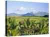 Mauritius, Scenic in the North West Region of the Island-Fraser Hall-Stretched Canvas