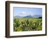 Mauritius, Scenic in the North West Region of the Island-Fraser Hall-Framed Photographic Print