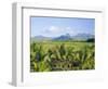 Mauritius, Scenic in the North West Region of the Island-Fraser Hall-Framed Photographic Print