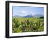Mauritius, Scenic in the North West Region of the Island-Fraser Hall-Framed Photographic Print