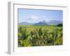 Mauritius, Scenic in the North West Region of the Island-Fraser Hall-Framed Photographic Print