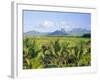 Mauritius, Scenic in the North West Region of the Island-Fraser Hall-Framed Photographic Print