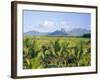 Mauritius, Scenic in the North West Region of the Island-Fraser Hall-Framed Photographic Print