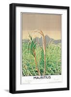 Mauritius - Sugar, Rum, from the Series 'Some Empire Islands'-Keith Henderson-Framed Giclee Print