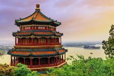 China, Beijing, Olympic park and famous bird's nest stadium made of steel illuminated by a colorful-Maurizio Rellini-Photographic Print