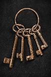 Medieval Keys-maury75-Photographic Print