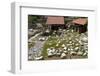 Mausoleum at Halicarnassus-EvrenKalinbacak-Framed Photographic Print