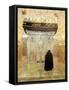 Mausoleum of Sayyed Mir Ahmad, Brother of Imam Reza, Shiraz, Iran, Middle East-Sergio Pitamitz-Framed Stretched Canvas