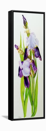 Mauve and purple irises with two buds-Joan Thewsey-Framed Stretched Canvas