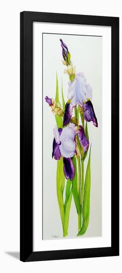 Mauve and purple irises with two buds-Joan Thewsey-Framed Giclee Print