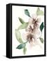 Mauve Flowers I-Jennifer Goldberger-Framed Stretched Canvas