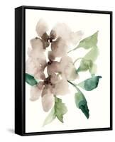 Mauve Flowers II-Jennifer Goldberger-Framed Stretched Canvas