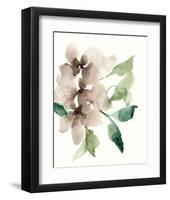 Mauve Flowers II-Jennifer Goldberger-Framed Art Print