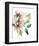 Mauve Flowers II-Jennifer Goldberger-Framed Art Print