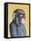 Mauve Monkey on Yellow, 2006,-Peter Jones-Framed Stretched Canvas