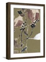 Mauve on Olive II-Jennifer Goldberger-Framed Art Print