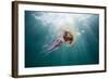 Mauve Stinger Jellyfish (Pelagia Noctiluca), Cap De Creus, Costa Brava, Spain-Reinhard Dirscherl-Framed Photographic Print