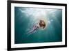 Mauve Stinger Jellyfish (Pelagia Noctiluca), Cap De Creus, Costa Brava, Spain-Reinhard Dirscherl-Framed Photographic Print