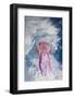 Mauve Stinger Jellyfish (Pelagia Noctiluca), Cap De Creus, Costa Brava, Spain-Reinhard Dirscherl-Framed Photographic Print