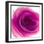 Mauve Summer Petals-Katja Marzahn-Framed Giclee Print