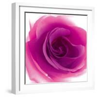 Mauve Summer Petals-Katja Marzahn-Framed Giclee Print