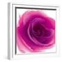 Mauve Summer Petals-Katja Marzahn-Framed Giclee Print