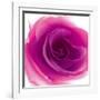 Mauve Summer Petals-Katja Marzahn-Framed Giclee Print