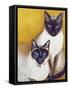 Mavis and Barnaby-Pat Scott-Framed Stretched Canvas