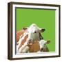 Mavis and Molly-Linda Wood-Framed Giclee Print