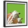 Mavis and Molly-Linda Wood-Framed Giclee Print