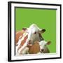 Mavis and Molly-Linda Wood-Framed Giclee Print