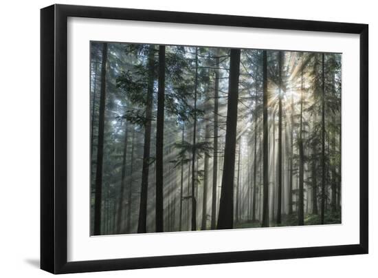 Premium Photographic Print, , large