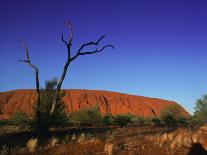 Sunset, Mundi Mundi Plains, New South Wales, Australia, Pacific-Mawson Mark-Photographic Print