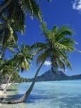 Bora Bora, Tahiti, Society Islands, French Polynesia, Pacific Islands, Pacific-Mawson Mark-Photographic Print