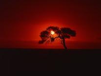 Sunset, Mundi Mundi Plains, New South Wales, Australia, Pacific-Mawson Mark-Photographic Print