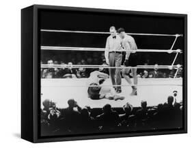 Max Baer Knocked Down During a Heavyweight Fight with Joe Louis, Sept. 24, 1935-null-Framed Stretched Canvas
