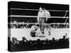 Max Baer Knocked Down During a Heavyweight Fight with Joe Louis, Sept. 24, 1935-null-Stretched Canvas
